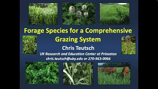 Forage species for a comprehensive grazing system-Chris Teutsch