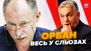 ЖДАНОВ: Орбана заткнули! Це рішення Європи підняло всіх. Україну сильно здивували @OlegZhdanov