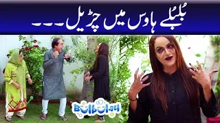 Bulbulay Season 2 Episode 19 | Ayesha Omar | Nabeel