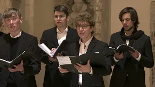 Collegium Vocale der Uni Jena: In dulci jubilo (Michael Praetorius)