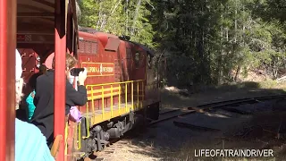 Riding the SKUNK Train in the California Redwoods