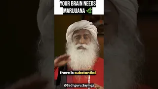 Shocking Truth!!! About Marijuana (Cannabis)🌿🌿🌿 By Sadhguru #sadhguru #shorts #sadhguruquotes