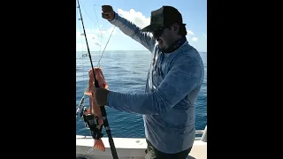 Fishing on Rib Reef North QLD