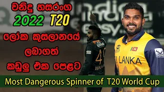 Wanidu Hasaranga's wickets in T20 world Cup 2022