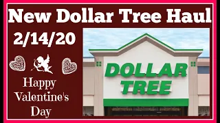 New Dollar Tree Haul 2/14/20 Happy Valentine's Day!!