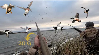 INSANE 6 species mixed bag BIG WATER diver duck hunt (South Dakota Public Land)