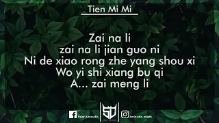 Tian Mi Mi 甜蜜蜜เถียนมี่มี่ ALIZ karaoke version