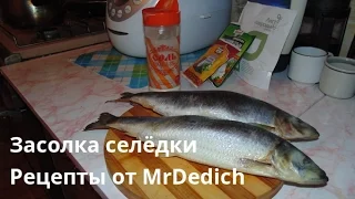Засолка селёдки / Рецепты от MrDedich
