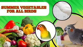 Vegetables For Parrot | Sumer Vegetables And Green For All Bird's