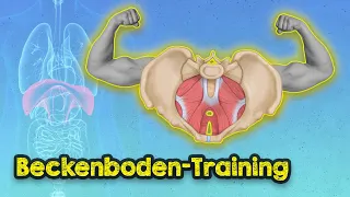 Beckenboden-Masterclass: Egal ob Mann oder Frau. Eine Technik für maximale Ergebnisse!