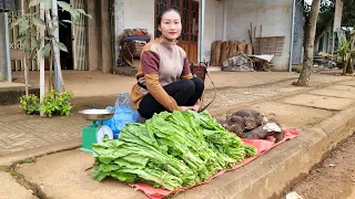 FULL VIDEO: Harvest Grinding Tuber, Green Vegetables, Dong Leaves to the Market for Sale
