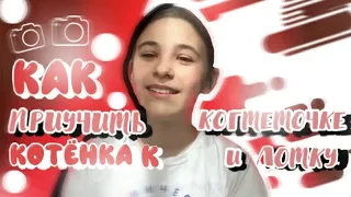 КАК ПРИУЧИТЬ КОТЁНКА К КОГТЕТОЧКЕ И ЛОТКУ?МОЙ ОПЫТ И СОВЕТЫ|TASYA NOVIKOVA