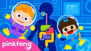 Digestion | Corps Humain pour les Petits | Pinkfong, Bébé Requin ! Chansons pour Enfants