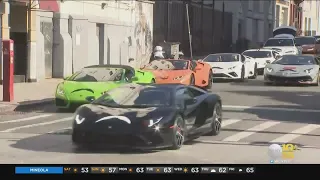 Lamborghinis With Mustaches Drive Through Manhattan For Movember Charity Event