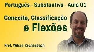 Substantivo - Conceito, Classificação e Flexões - Aula 01