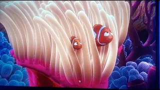 Finding Nemo (2003) Nemo's First Day At School (Scene) (Part 1)