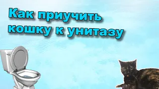 Как приучить кошку к унитазу?