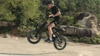 MOVCAN V60 Electric Bike