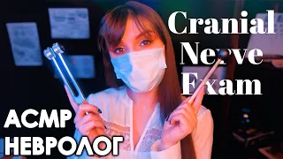 ASMR 👩‍⚕️ Cranial Nerve Exam (whisper in Russian)