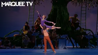 The Winter's Tale Pas de deux | The Royal Ballet |  Marquee TV