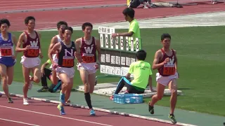 2016 関東インカレ陸上 男子1部 800m 決勝
