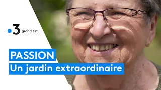 L'extraordinaire jardin de ces octogénaires se visite tous les dimanches