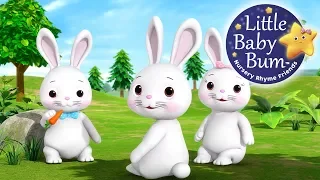 Bunnies Bunnies | Nursery Rhymes for Babies by LittleBabyBum - ABCs and 123s