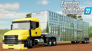MEGA TRANSPORTE DE GADO (FAZENDA BACURI) | Farming Simulator 22