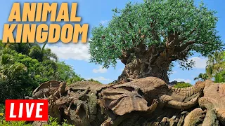 🔴 LIVE: Animal kingdom Friday at Walt Disney World   7/28/2023
