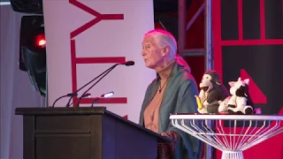 Dr. Jane Goodall shares how she became an activist