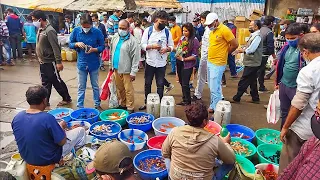 Fish Market | Galiff Street Fish Market Kolkata | Cheap Price | Recent Aquarium Fish Price Update