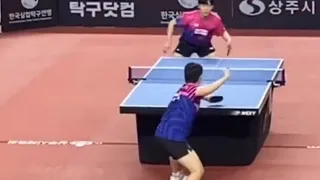 2024년 실업탁구 챔피언전 개최! #tabletennis #pingpong #탁구 #tenisdemesa #tennisdetable