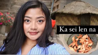 (MIZO VLOG) KA SEI LENNA INN LEH A CHHEH VEL, CHAMPHAI ENGE A LO AN TAWH?!!!