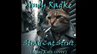 Andy Radke - "Stray Cat Strut"  (Stray Cats cover)  AUDIO