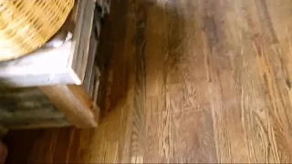 How to make old hardwood floors shiny. Weiman hardwood polish and restorer review and demo