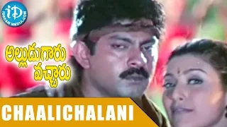 Alludugaaru Vachcharu Songs - Chaalichalani Kulukulalona Video Song - Jagapati Babu, Kausalya,Heera