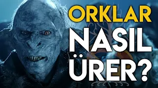 Orklar Kimdir? (ORKLAR NASIL ÜRER?) Orklar Nasıl Yaratıldı? | Orta Dünya - Yüzüklerin Efendisi