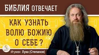 КАК УЗНАТЬ ВОЛЮ БОЖИЮ О СЕБЕ ?  Игумен Лука (Степанов)