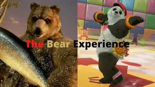 The Bear Experience