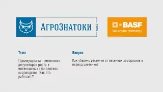 Как уберечь растения от весенних заморозков в период цветения