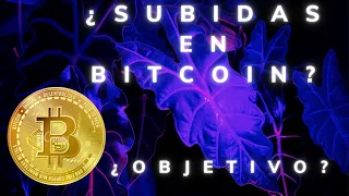 BITCOIN. ¿SUBIRÁ MÁS? PROBABLEMENTE SÍ