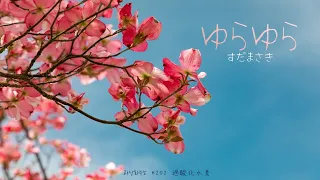 ゆらゆら - 菅田将暉(스다 마사키) / KR lyrics