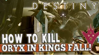 Destiny | How To Kill Oryx: In Depth Guide - Kings Fall Raid!