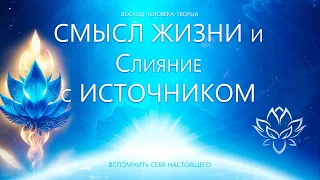 Смысл жизни и Слияние с Источником