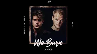 Avicii feat Sandro Cavazza - We Burn Faster Than Light (Acoustic)