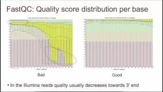 4   3   Проверка качества  FastQC Quality Check  FastQC