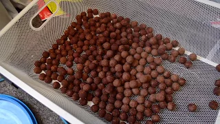 Making Creamy Fishmeal/Squid boilies