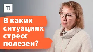 Фазы общего адаптационного синдрома — Анна Усенко / ПостНаука