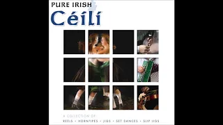 Pure irish Ceili | Reels, Hornpipes, Jigs, Set Dances & Slip Jigs | St Patrick's Day