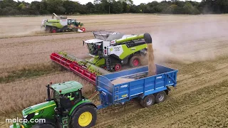 4Kᵁᴴᴰ Harvest 2023: Westrope Farm's Lexion 8700 and 770 combine harvesters cutting barley in Suffolk